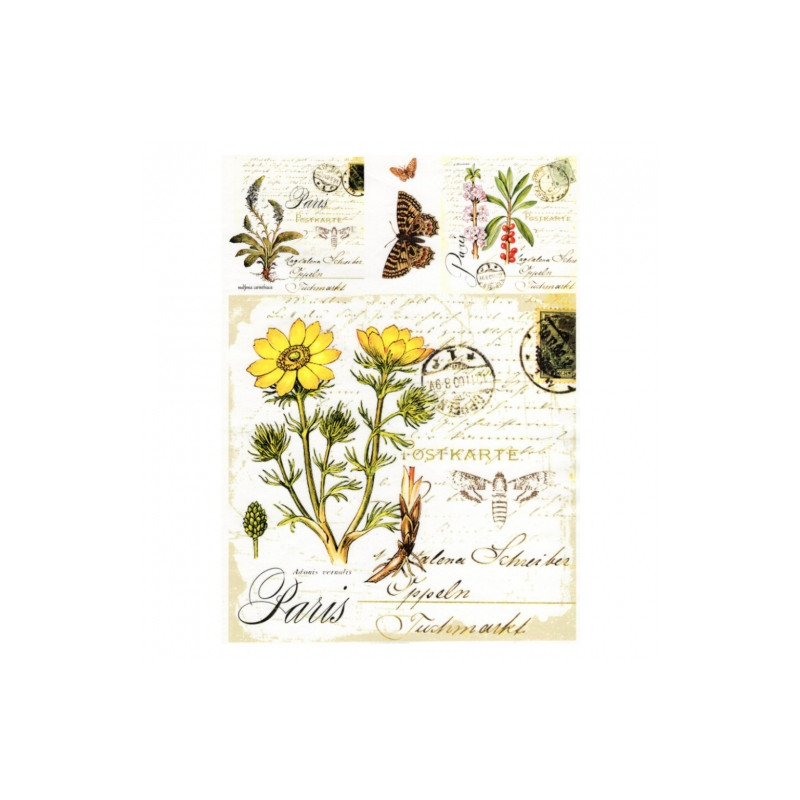 Decoupage paper soft A4 ITD S010 butterflies herbs