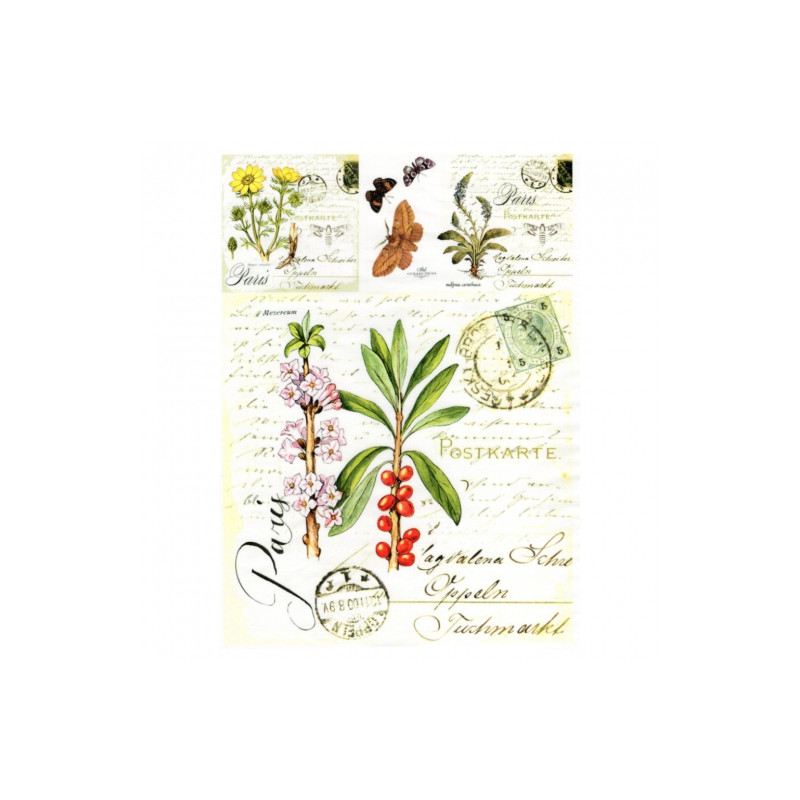 Papier do decoupage soft A4 ITD S011 zioła motyle - sklep plastyczny -