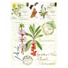 Papier do decoupage soft A4 ITD S011 zioła motyle - sklep plastyczny -