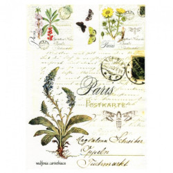 Papier do decoupage soft A4 ITD S012 zioła kwiaty motyle - sklep plast