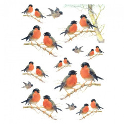 Papier do decoupage soft A4 ITD S177 ptaki na gołązkach - sklep plasty