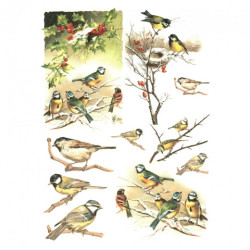 Papier do decoupage soft A4 ITD S184 ptaki na gałązkach - sklep plasty