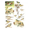 Papier do decoupage soft A4 ITD S184 ptaki na gałązkach - sklep plasty