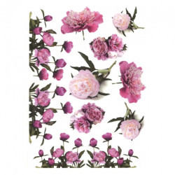 Papier ryżowy do decoupage kwiaty piwonie A4 ITD R042 - sklep plastycz