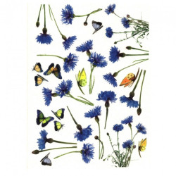 Papier ryżowy do decoupage chabry motyle A4 ITD R043 - sklep plastyczn