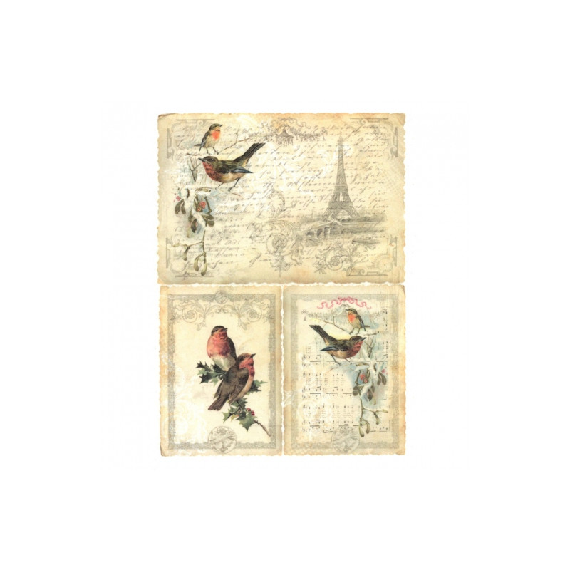 Rice decoupage paper paris vintage A4 ITD R184