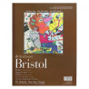 Blok Strathmore 400 series vellum surface 15 sheets