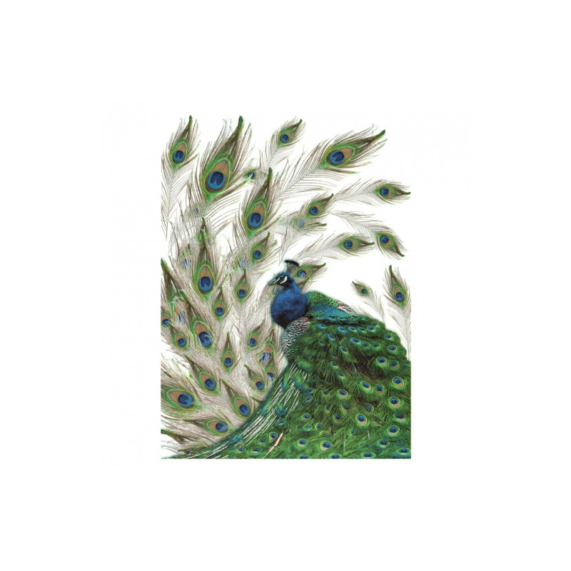 Papier ryżowy do decoupage A4 ITD R323 - sklep plastyczny - szał dla p