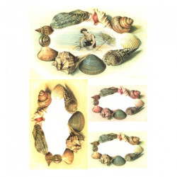 Rice decoupage paper shells A4 ITD R408