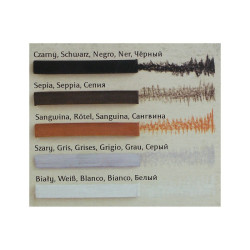 Renesans figured charcoal in bars color mix10pcs