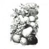 Rice paper for decoupage retro fruits A4 ITD R506