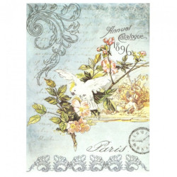 Papier ryżowy do decoupage papuga A4 ITD R527 - sklep plastyczny - sza