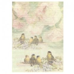 Papier ryżowy do decoupage ptaki kwiaty list A4 ITD R568 - sklep plast