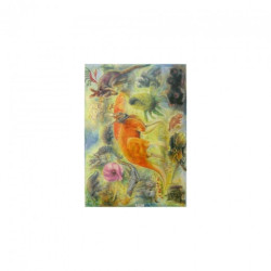 Australia decoupage paper 50x70cm