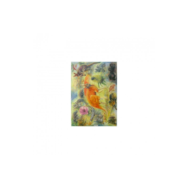 Australia decoupage paper 50x70cm