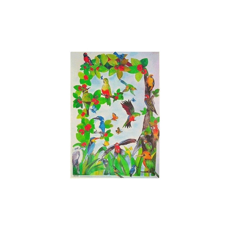 Australian birds decoupage paper 50x70cm