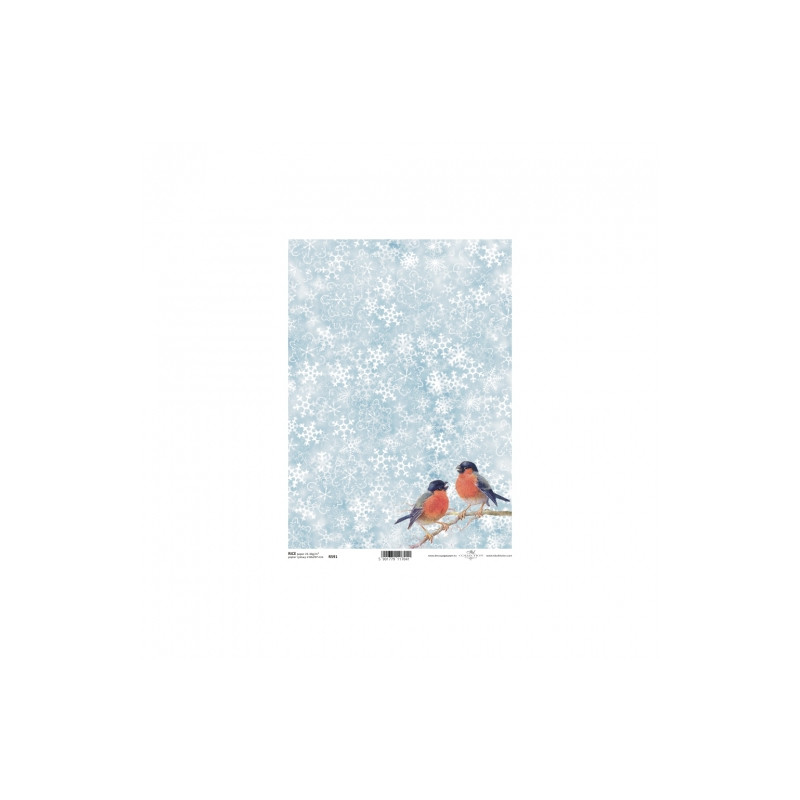 Rice decoupage paper winter birds A4 ITD R591