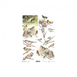 Papier ryżowy do decoupage ptaki zima A4 ITD R597 - sklep plastyczny -