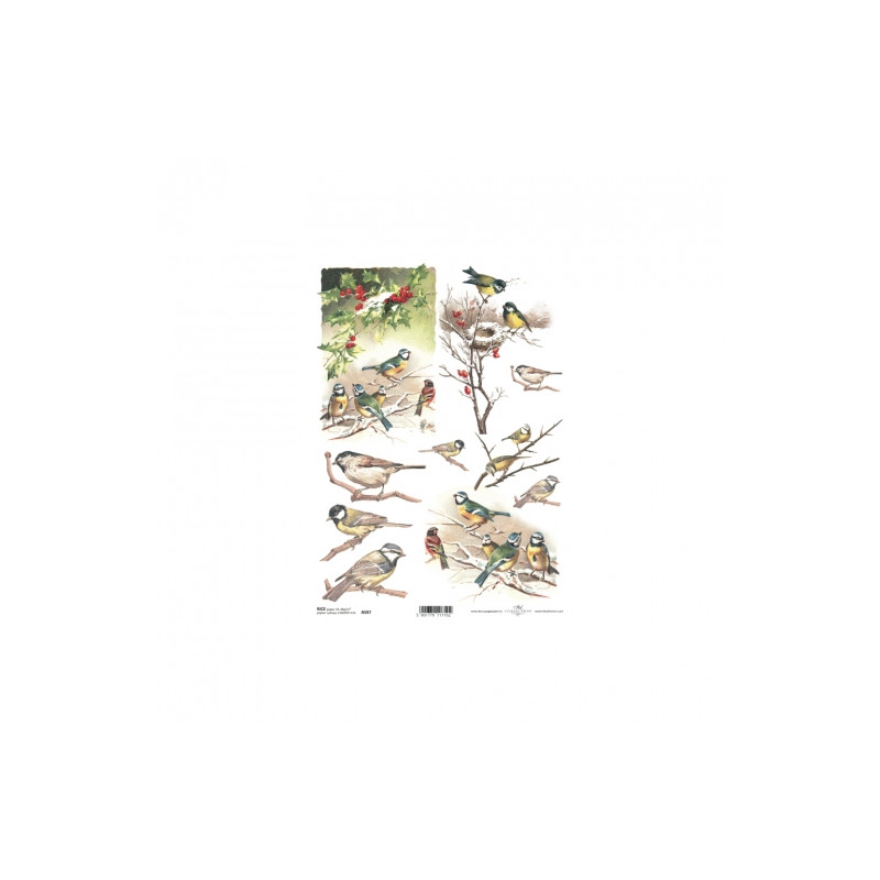 Papier ryżowy do decoupage ptaki zima A4 ITD R597 - sklep plastyczny -
