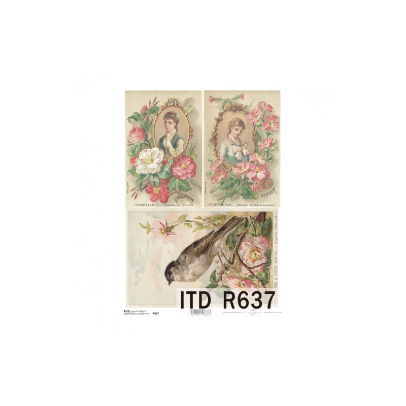 Papier ryżowy do decoupage vintage kobieta portre A4 ITD R637 - sklep