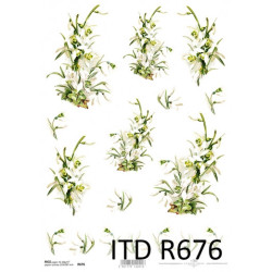 Rice decoupage paper snowdrop flowers A4 ITD R676