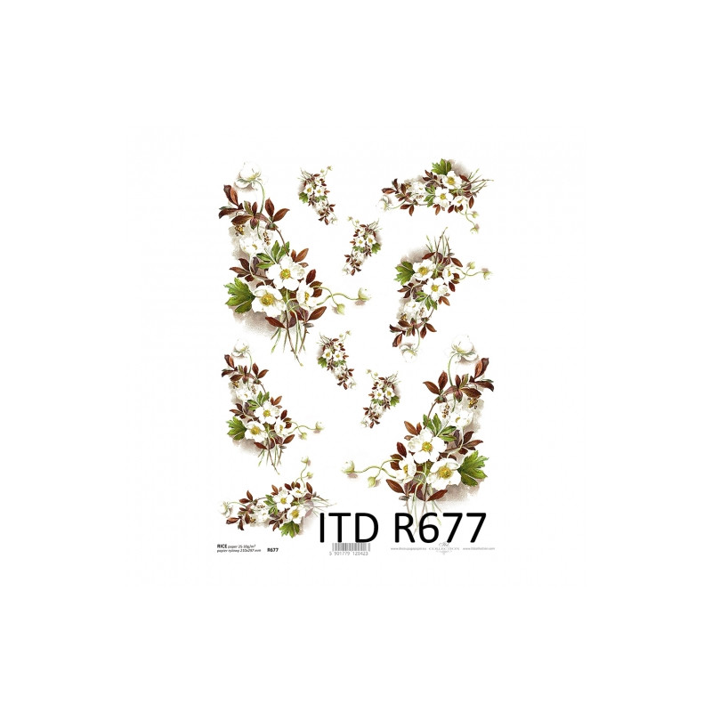 Rice paper for decoupage anemone flowers A4 ITD R677