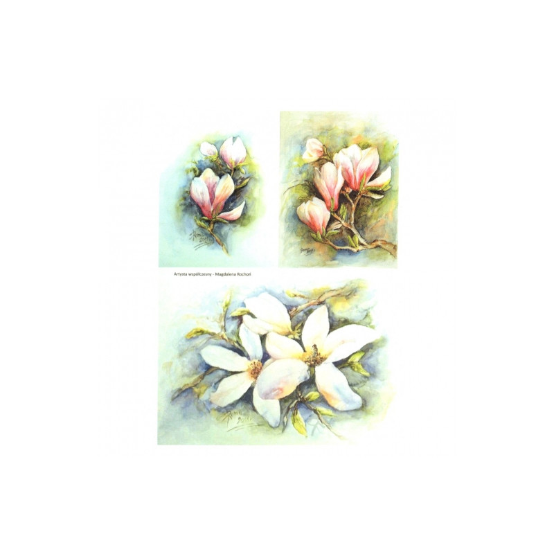 Rice decoupage paper magnolia flowers A4 ITD R277
