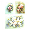 Papier ryżowy do decoupage kwiaty magnolia A4 ITD R277 - sklep plastyc