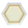 Phoenix hexagon cotton canvas