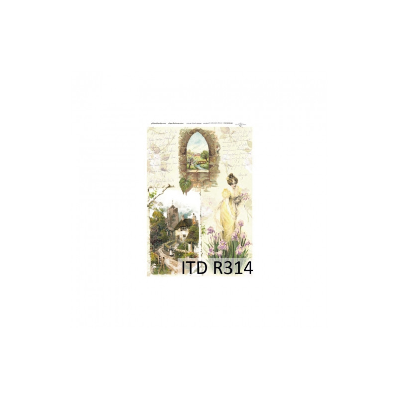 Rice decoupage paper with views R314