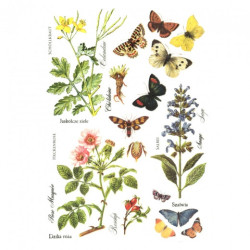 Rice decoupage paper butterflies flowers A4 ITD R405