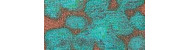 Maimeri idea patina farby dekoracyjne 60ml