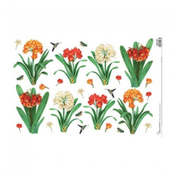 Calambour digital papier ryżowy do decoupage kwiatki DGR 83 32x45cm -