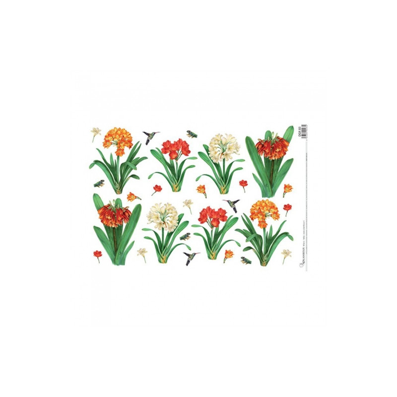 Calambour digital rice paper for decoupage flowers DGR 83 32x45cm