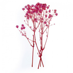 DP Craft gipsówka różowa 4 szt - sklep plastyczny - szał dla plastyków