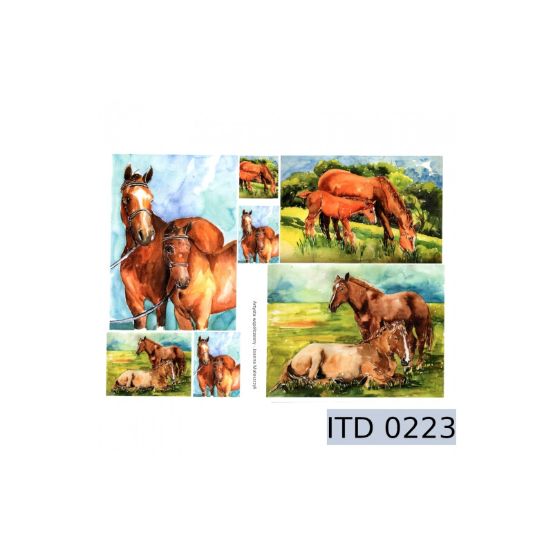 Papier do decoupage konie 996-0223/A3 - sklep plastyczny - szał dla pl