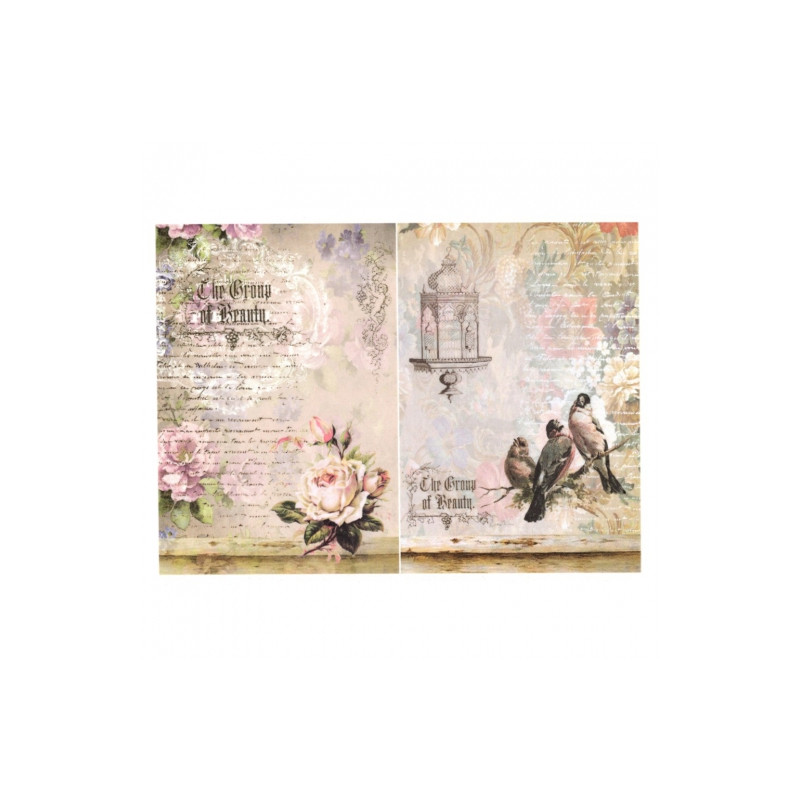 Rice decoupage paper vintage birds cage A4 ITD R709