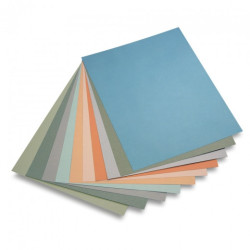 Canson mi-teintes paper 50x65cm 160g set 10 sheets
