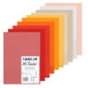 Canson mi-teintes paper 50x65cm 160g set 10 sheets