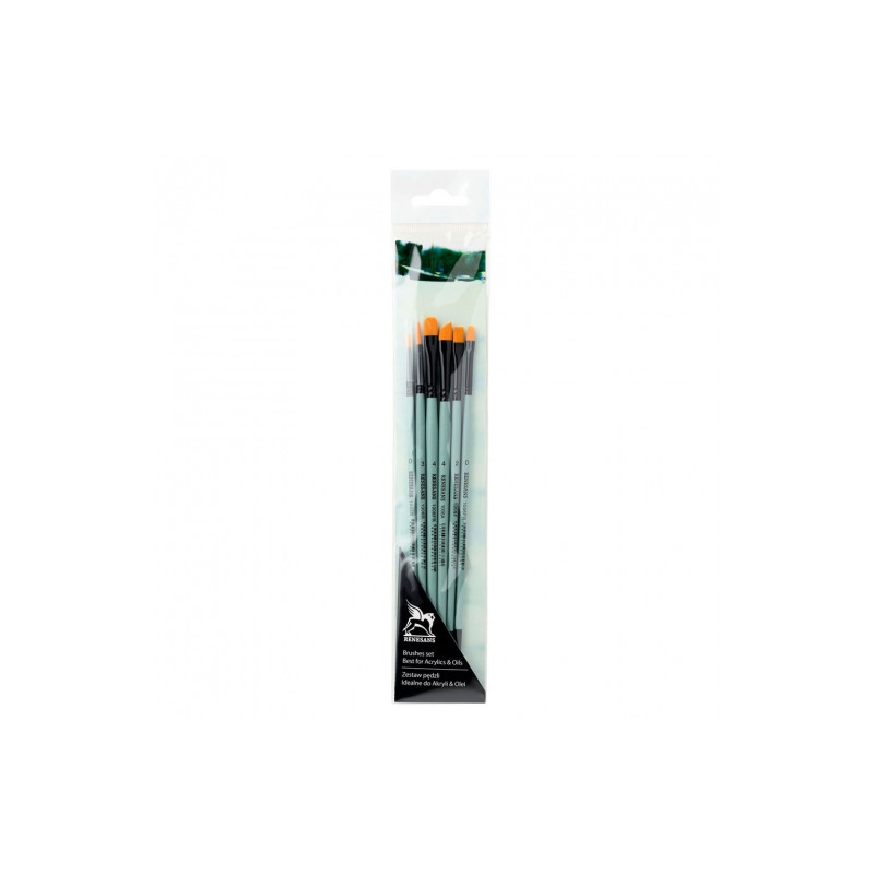 Renesans set of 6 different synthetic brushes 1006F, FR, R, A