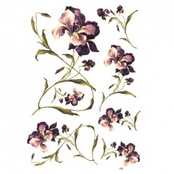 Papier ryżowy do decoupage kwiaty irysy A4 ITD R244- sklep plastyczny