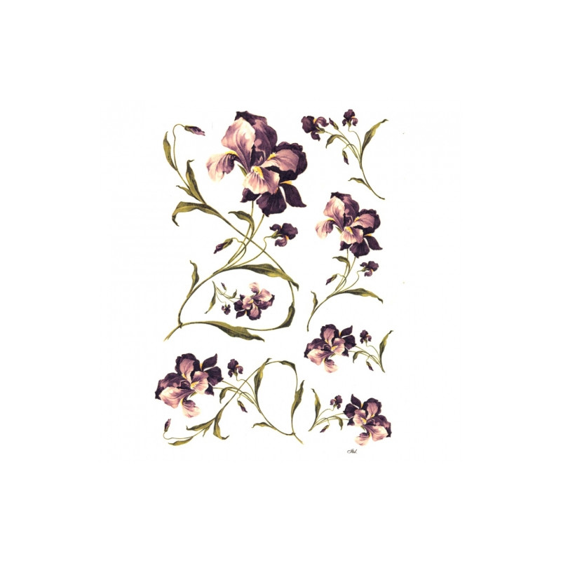 Papier ryżowy do decoupage kwiaty irysy A4 ITD R244- sklep plastyczny