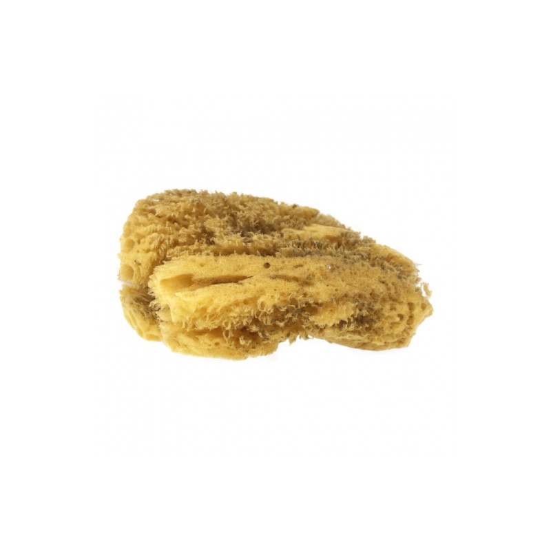 Kereso jumbo natural sponge 4-4.5mm- art store craze for plastics