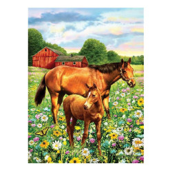 Royal&Langnickel Paiting by numbers A4 7 colors - horses in field