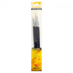 Phoenix set of 4 different long handle bristles brushes