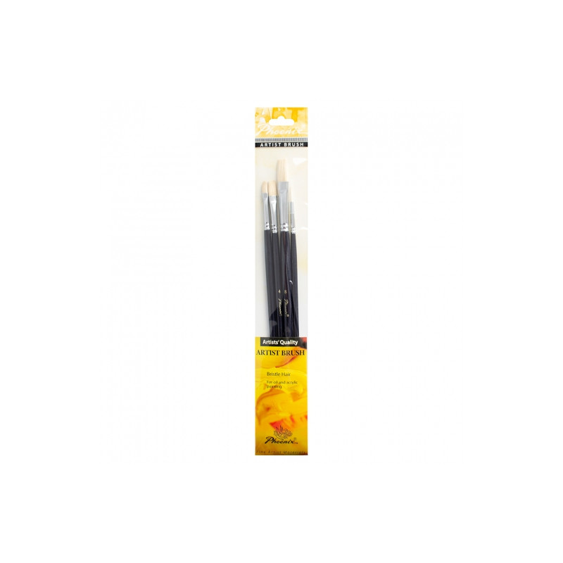 Phoenix set of 4 different long handle bristles brushes