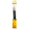 Phoenix set of 4 different long handle bristles brushes