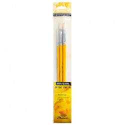 Phoenix set of 3 different long handle bristles brushes