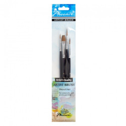 Phoenix set of 4 different natural short handle brushes