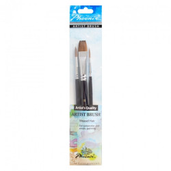 Phoenix set of 3 different natural short handle brushes